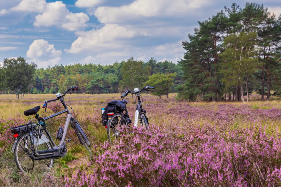 Aanbieding websiteafbeelding September 2000 x 1400 px 1