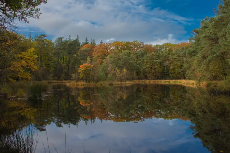 Aanbieding websiteafbeelding Herfstvakantie 2000 x 1400 px