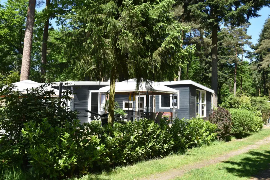 Chalet kopen op de Veluwe 1