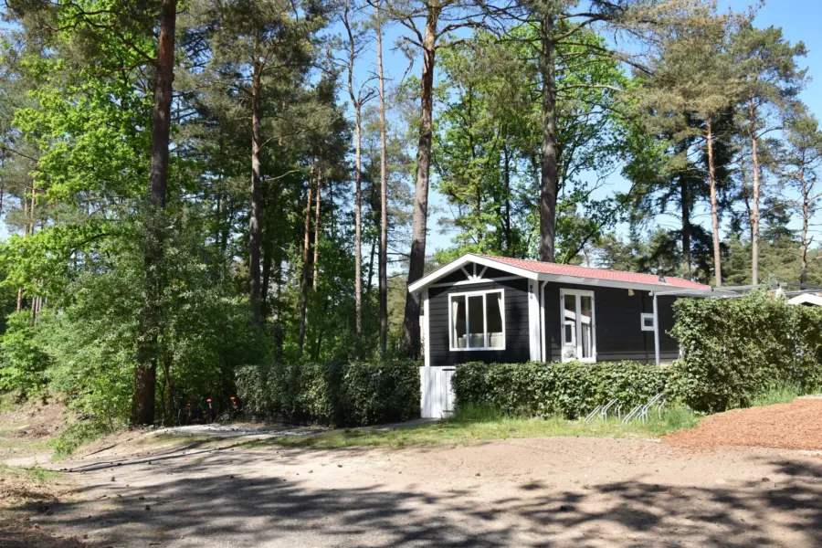 Chalet kopen op de Veluwe 5