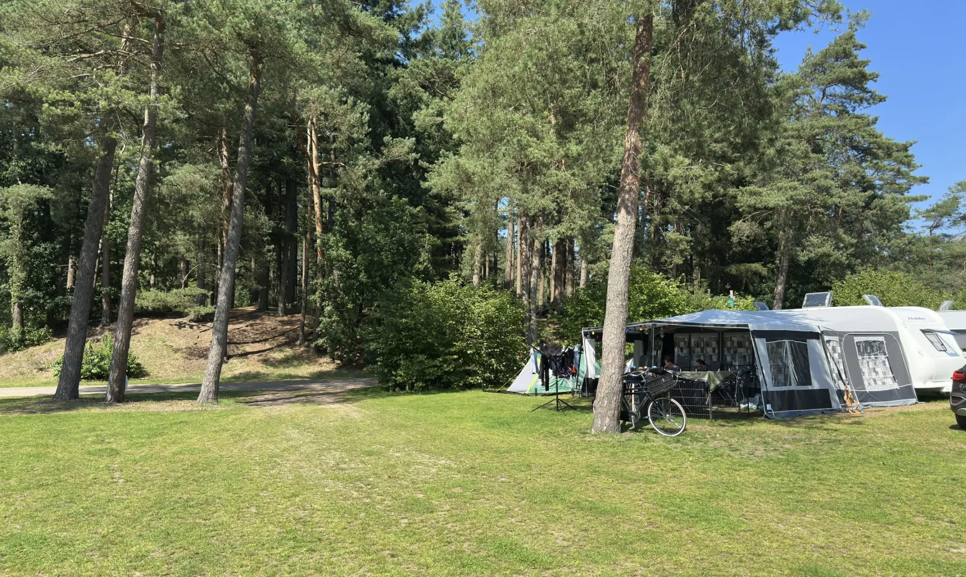 Camping Veluwe met privé sanitair Buizerd 12