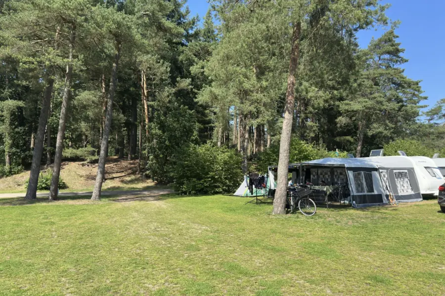 Camping Veluwe met privé sanitair Buizerd 12