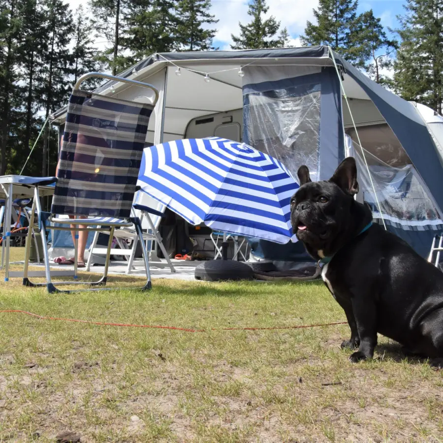 Camping Vierhouten kampeerplaats met prive sanitair Wouw 14