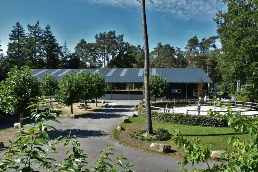 Vakantie met paard Veluwe Samoza 32