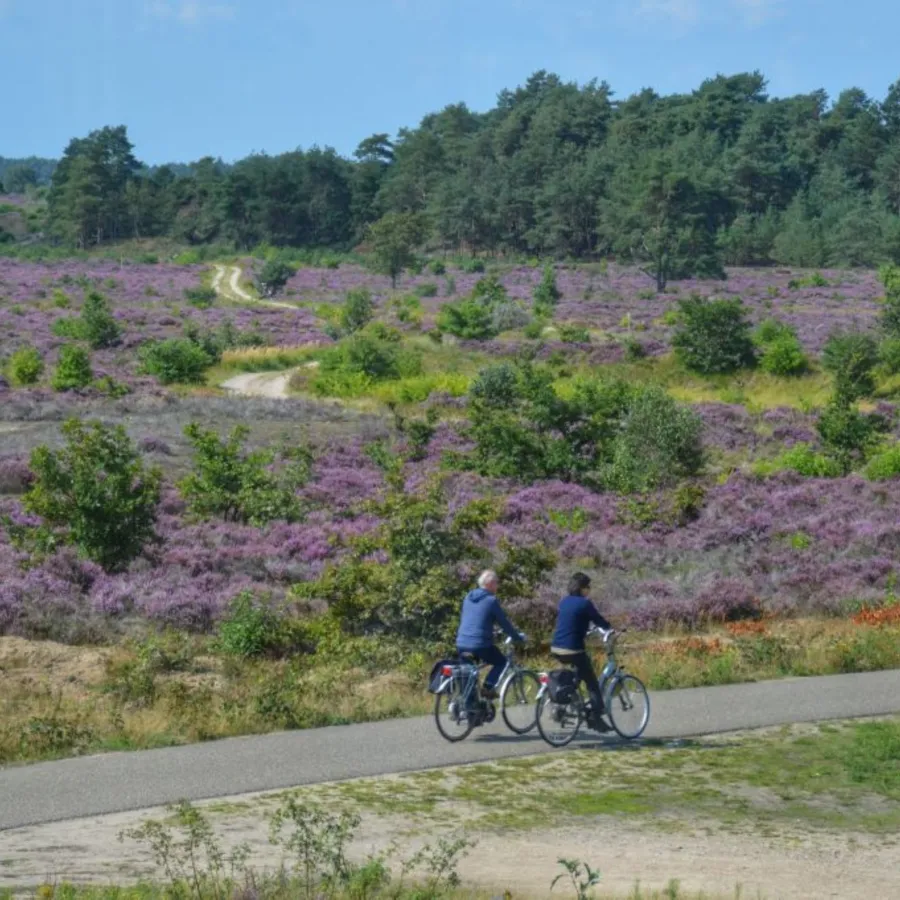Mooie fietsroutes Veluwe 8 1