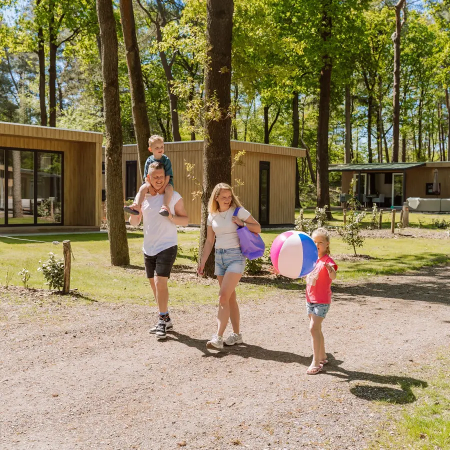 Chalet huren Veluwe 76 1