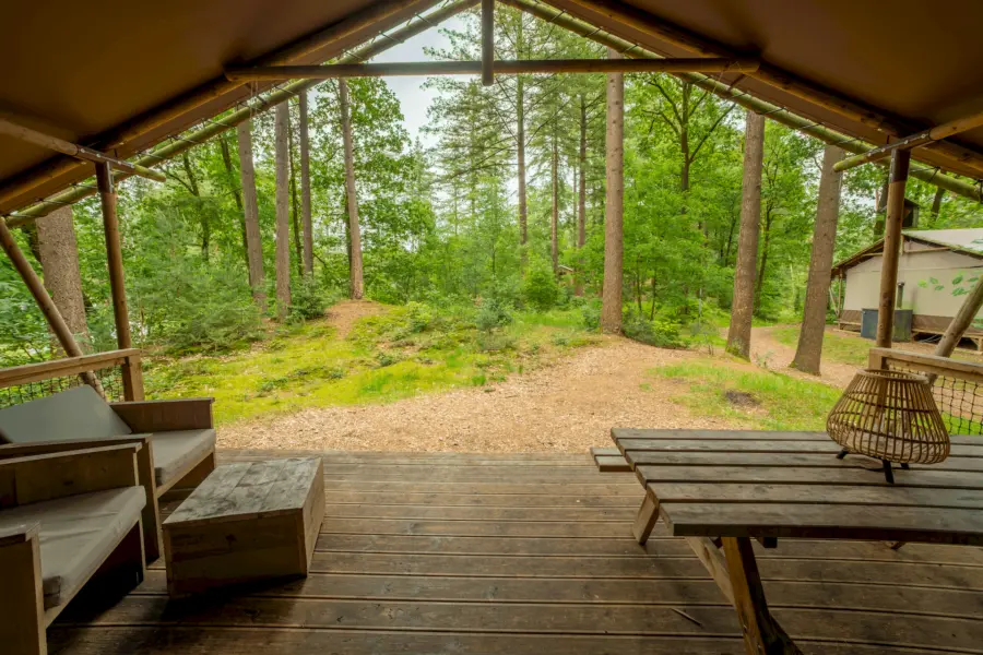 Glamping Veluwe Safaritent 19 1