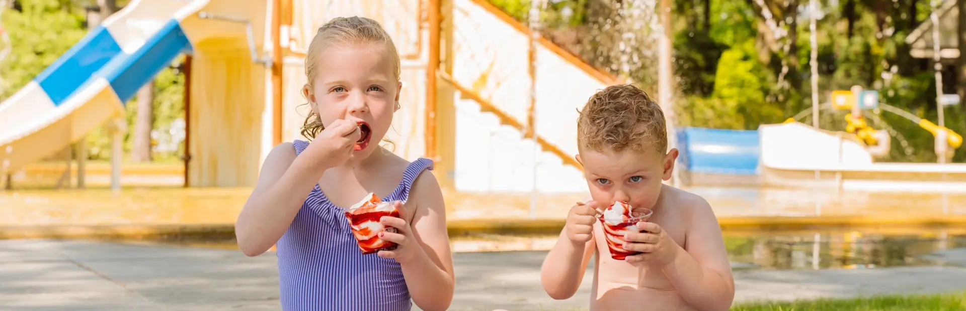 Camping Veluwe met zwembad 14 1