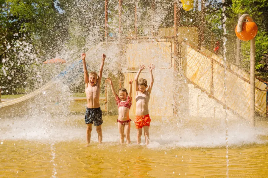 Camping Veluwe met zwembad 52 1