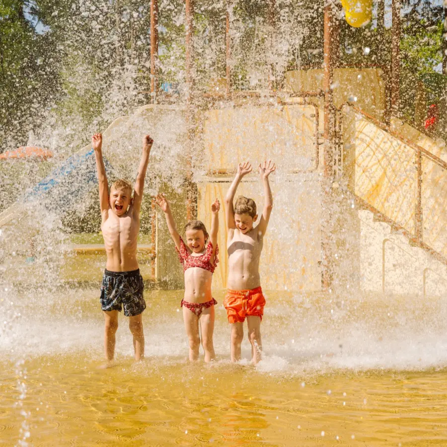 Camping Veluwe met zwembad 52 1